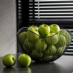 CASA Aster Frutero Negro