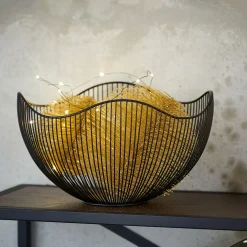 CASA Aster Frutero Negro