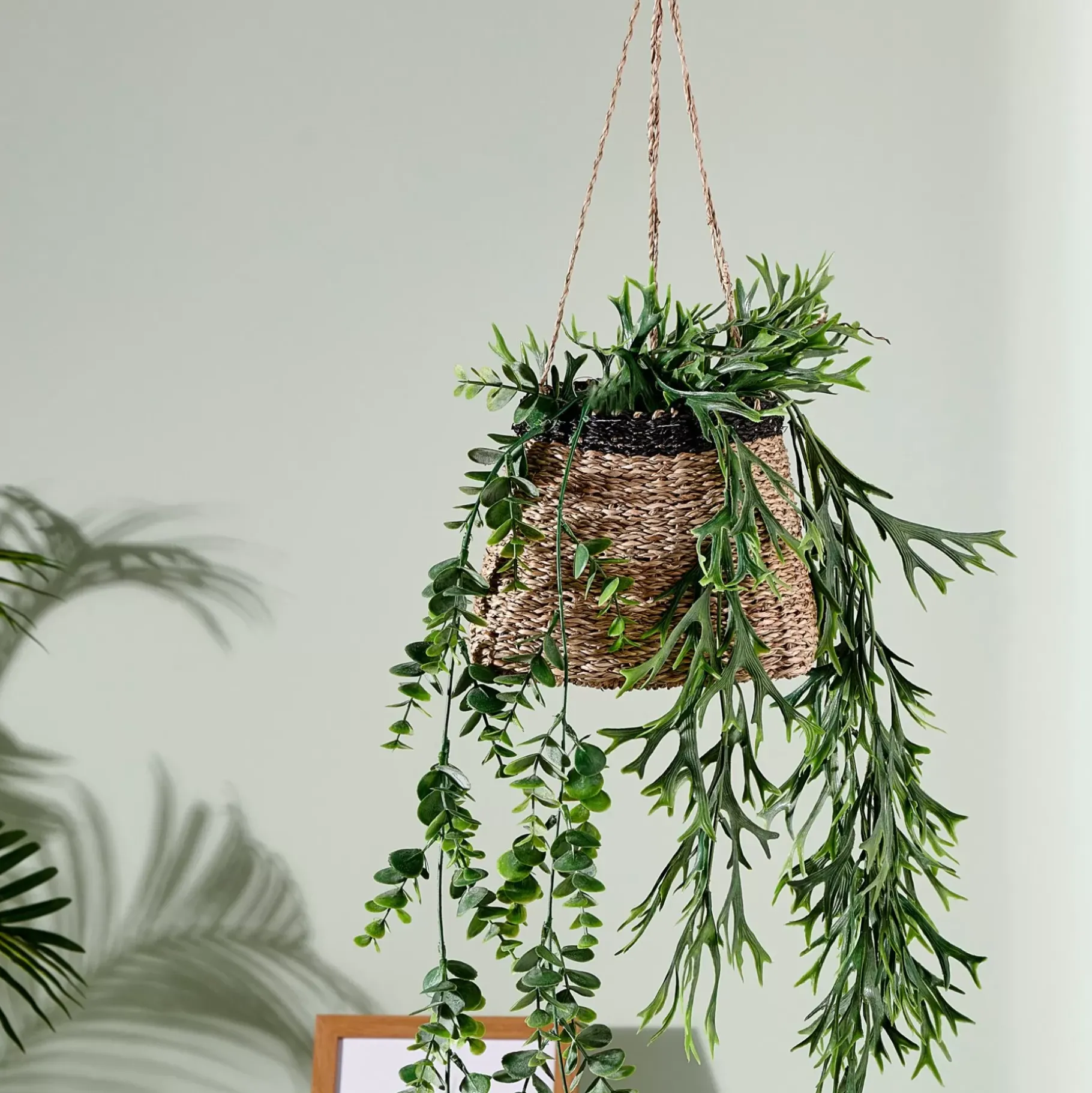 CASA Baku Macetero Colgante Negro, Natural