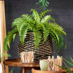 CASA Boston Planta Helecho Verde