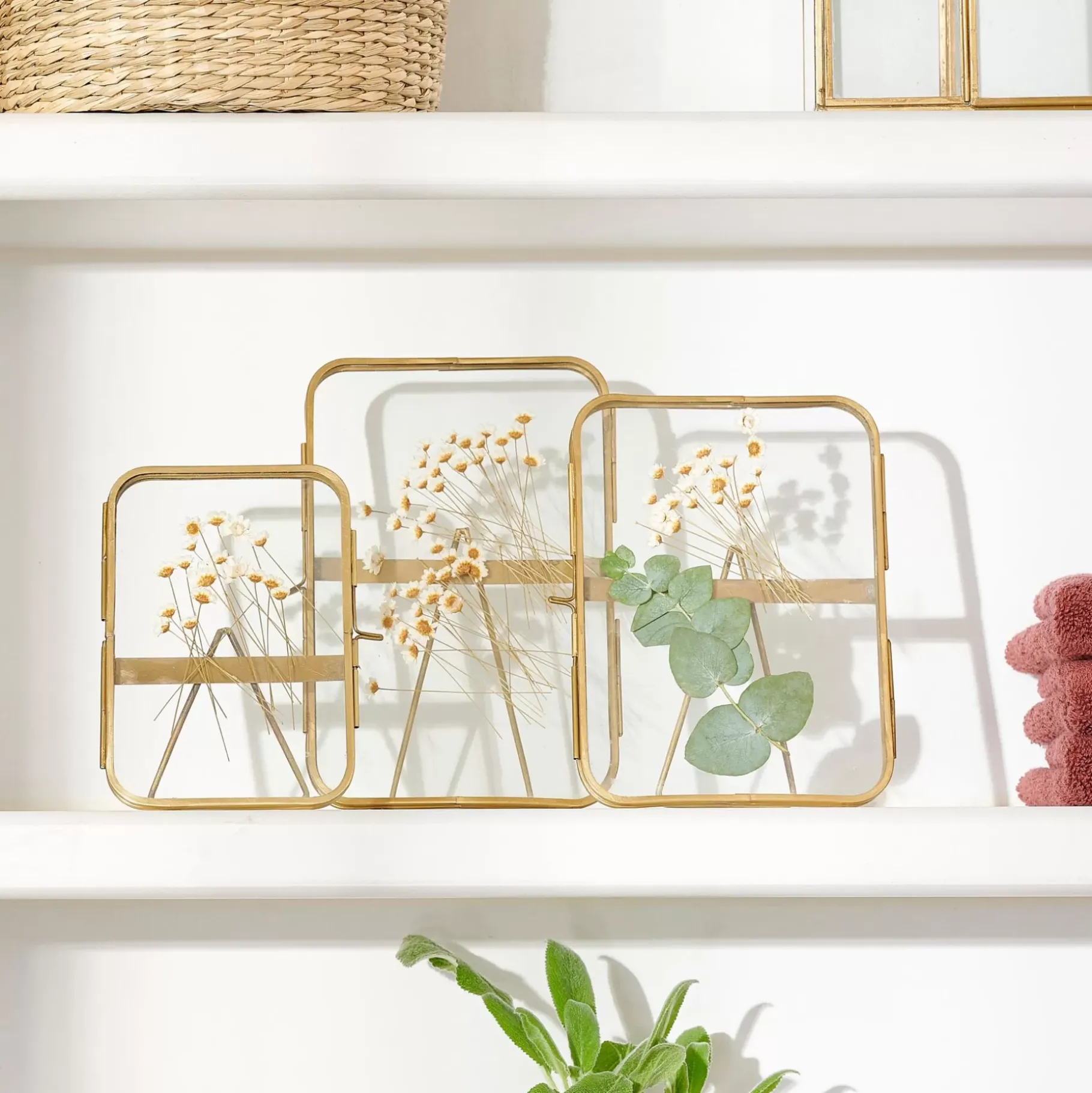 CASA Brass Marco De Foto Dorado