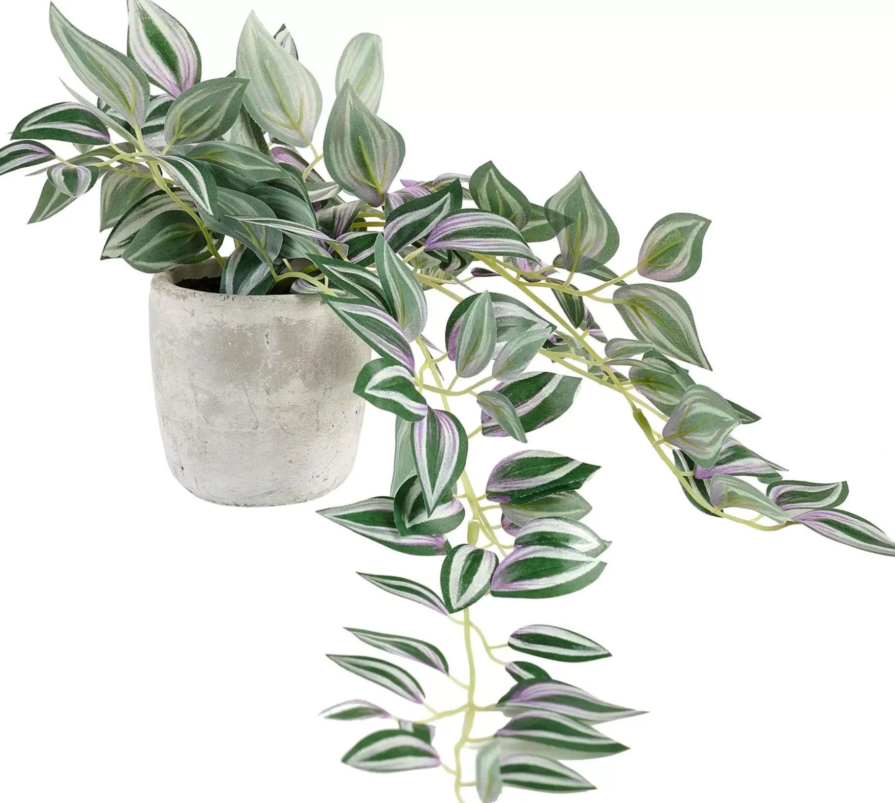 CASA Calathea Planta Colgante Gris, Verde, Morado