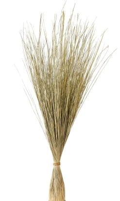 CASA Cogon Haz De Hierba Natural