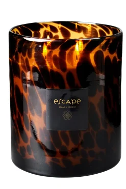 CASA Escape Black Oudh Negro, Marron, Ocre