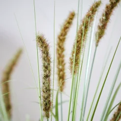 CASA Grass Tallo De Carrizo Artificial Verde