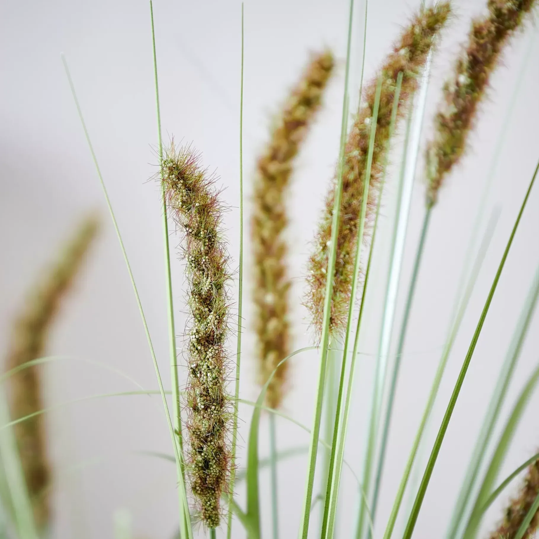 CASA Grass Tallo De Carrizo Artificial Verde
