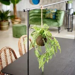 CASA Greenery Macetero Colgante Con Helecho Verde