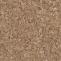 CASA Hugo Cojin Beis