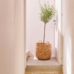 CASA Joni Cesta Natural