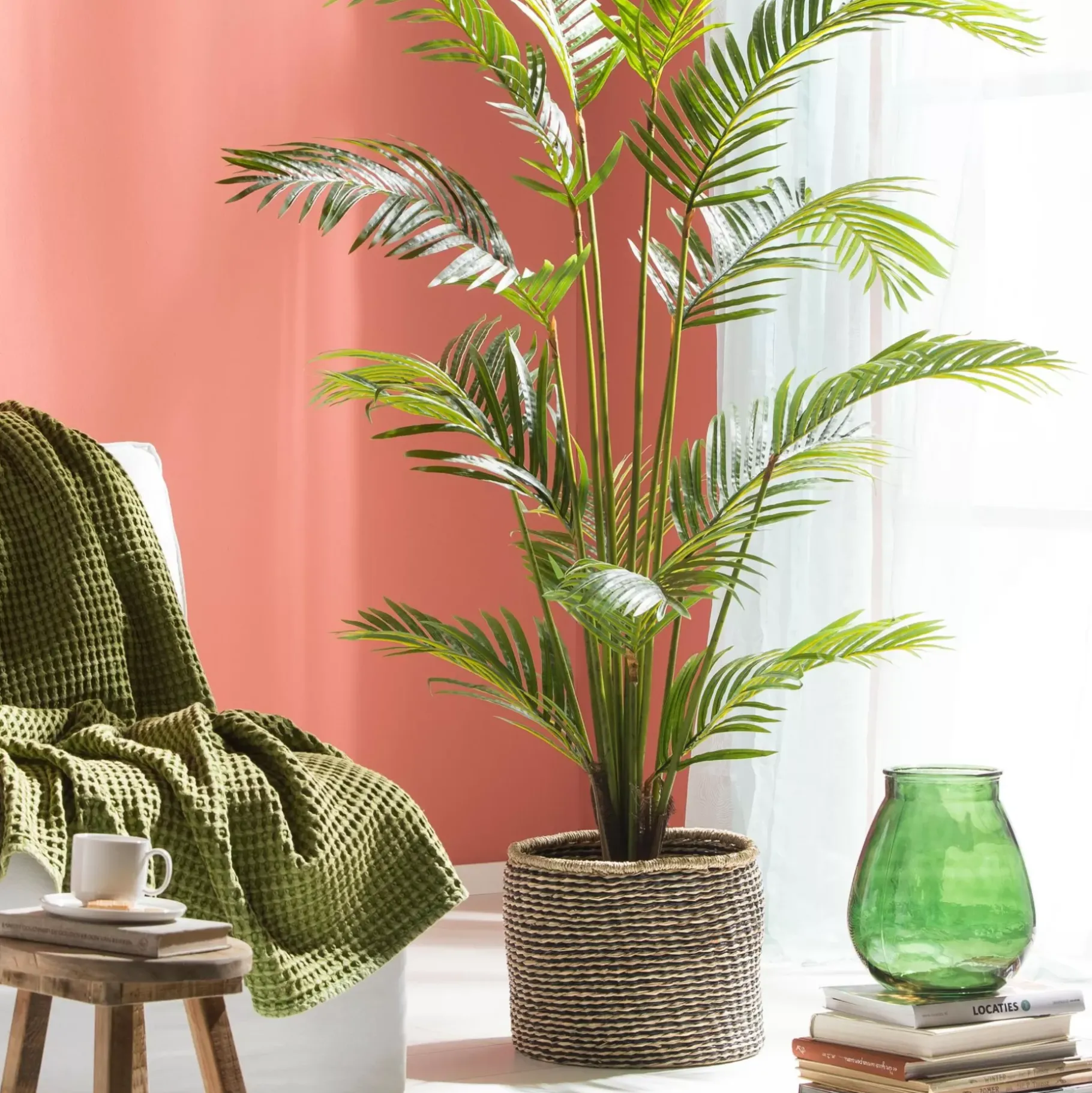 CASA Kwai Palma Verde