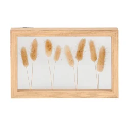 CASA Lagurus Decoracion De Pared Natural