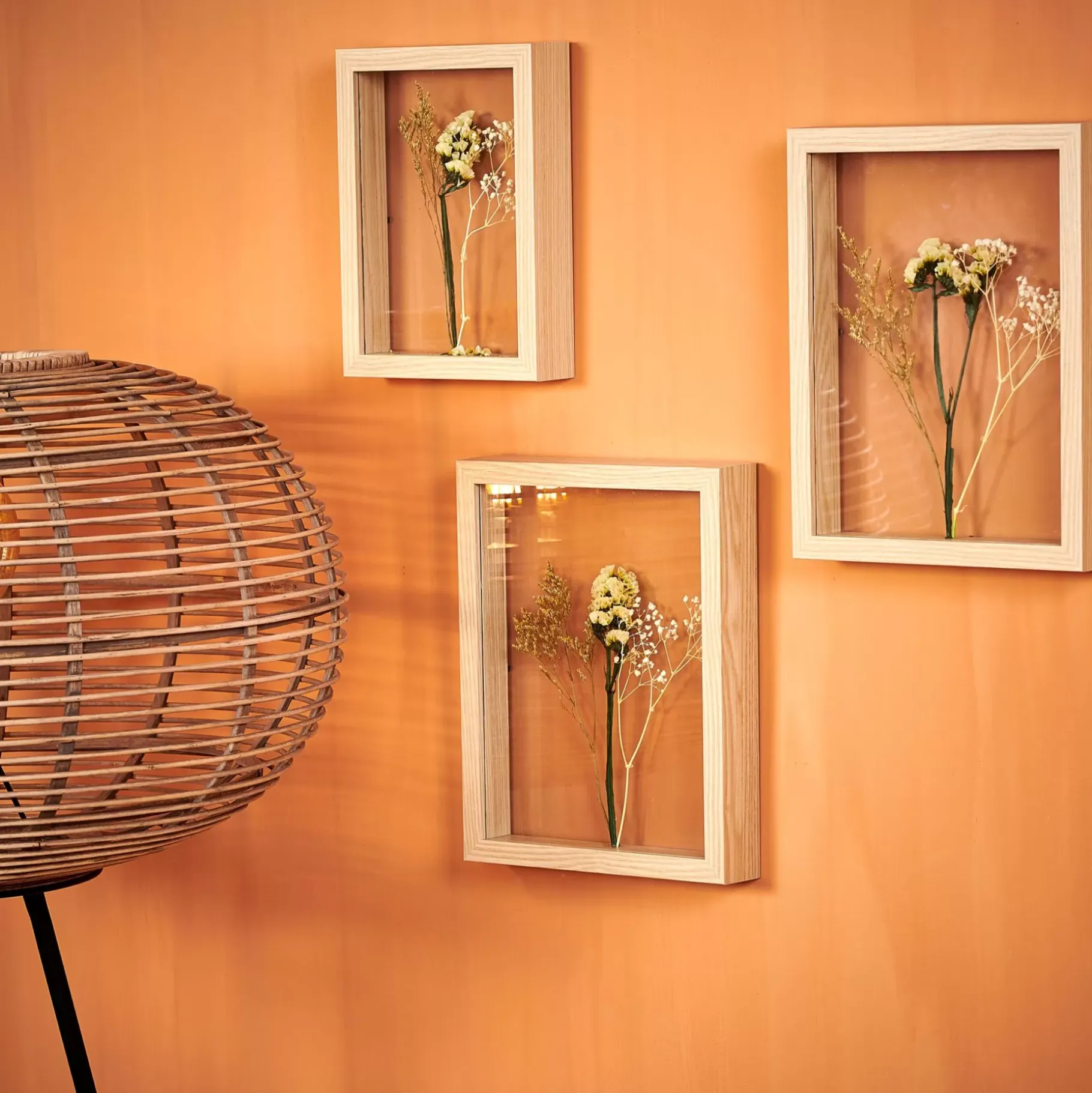 CASA Limonium Decoracion De Pared Natural