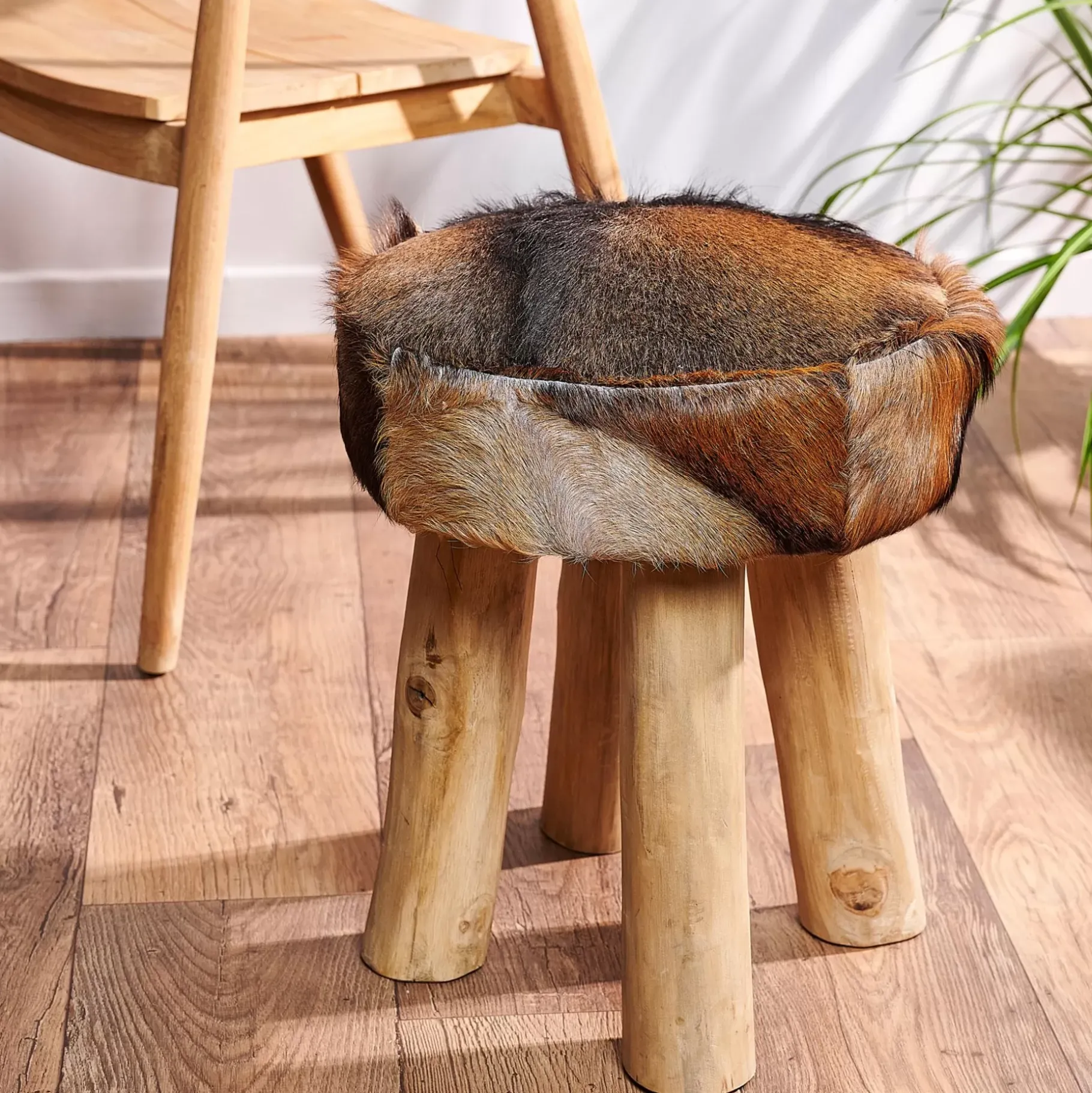 CASA Marie Taburete Varios Colores