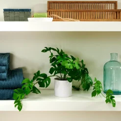 CASA Monstera Planta Varios Colores, Blanco, Verde