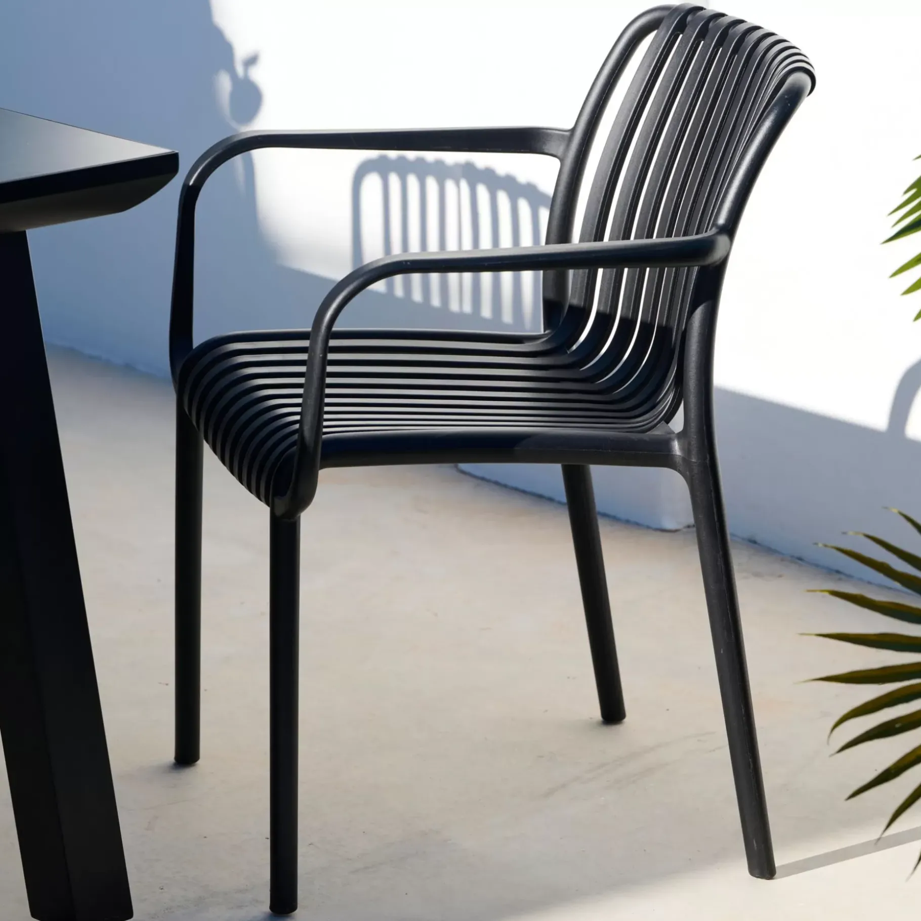 CASA Nomi Silla Negro