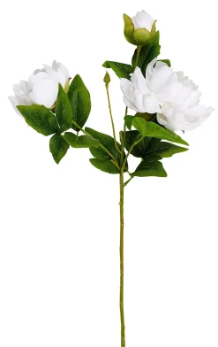 CASA Peony Rosa Peonia Blanco