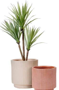 CASA Roma Creme Macetero Crema