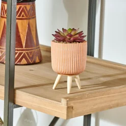 CASA Stripe Planta Crasa Art En Tarro Multicolor