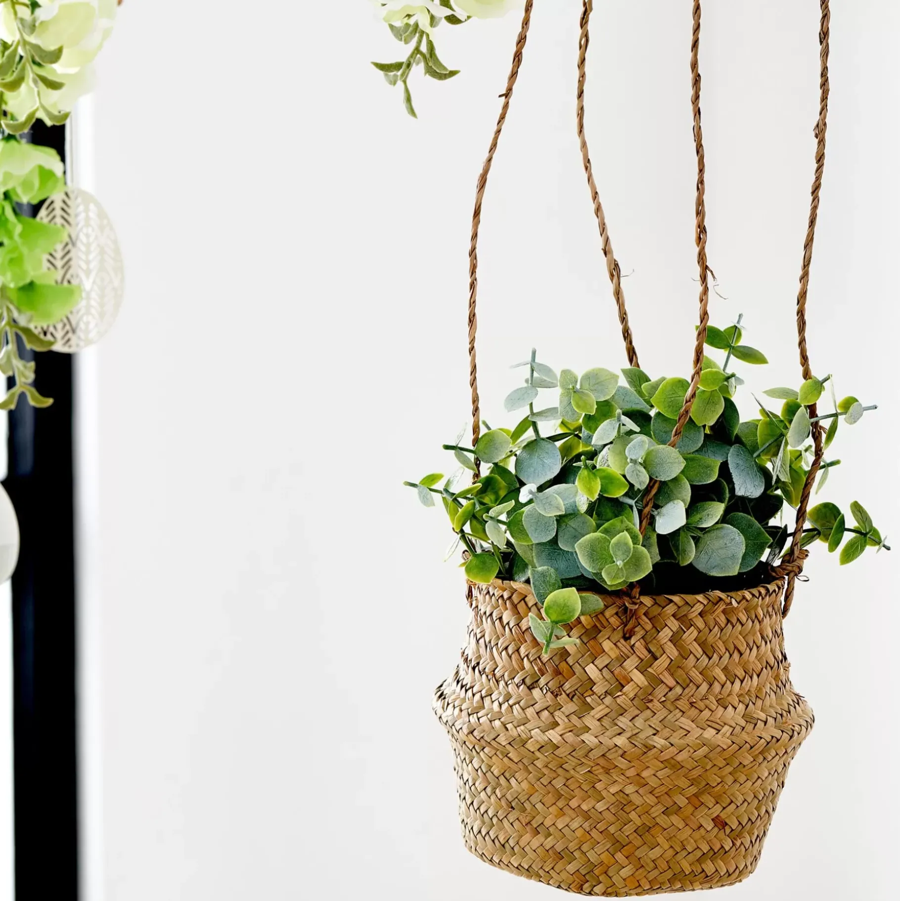 CASA Terra Planta En Maceta Blanco, Verde