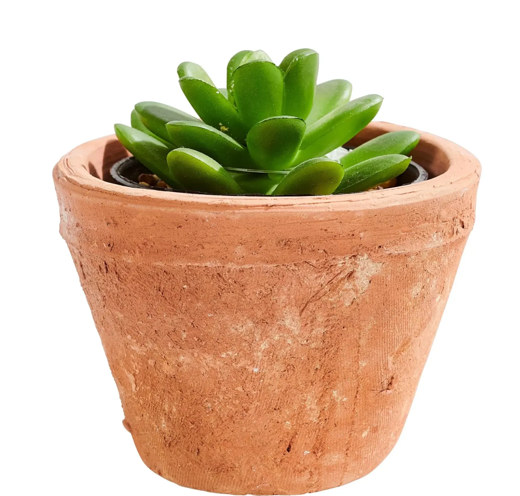 CASA Tierra Macetero Terracota