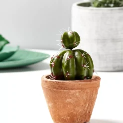 CASA Tierra Macetero Terracota