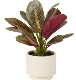 CASA Zebrina Planta Artificial