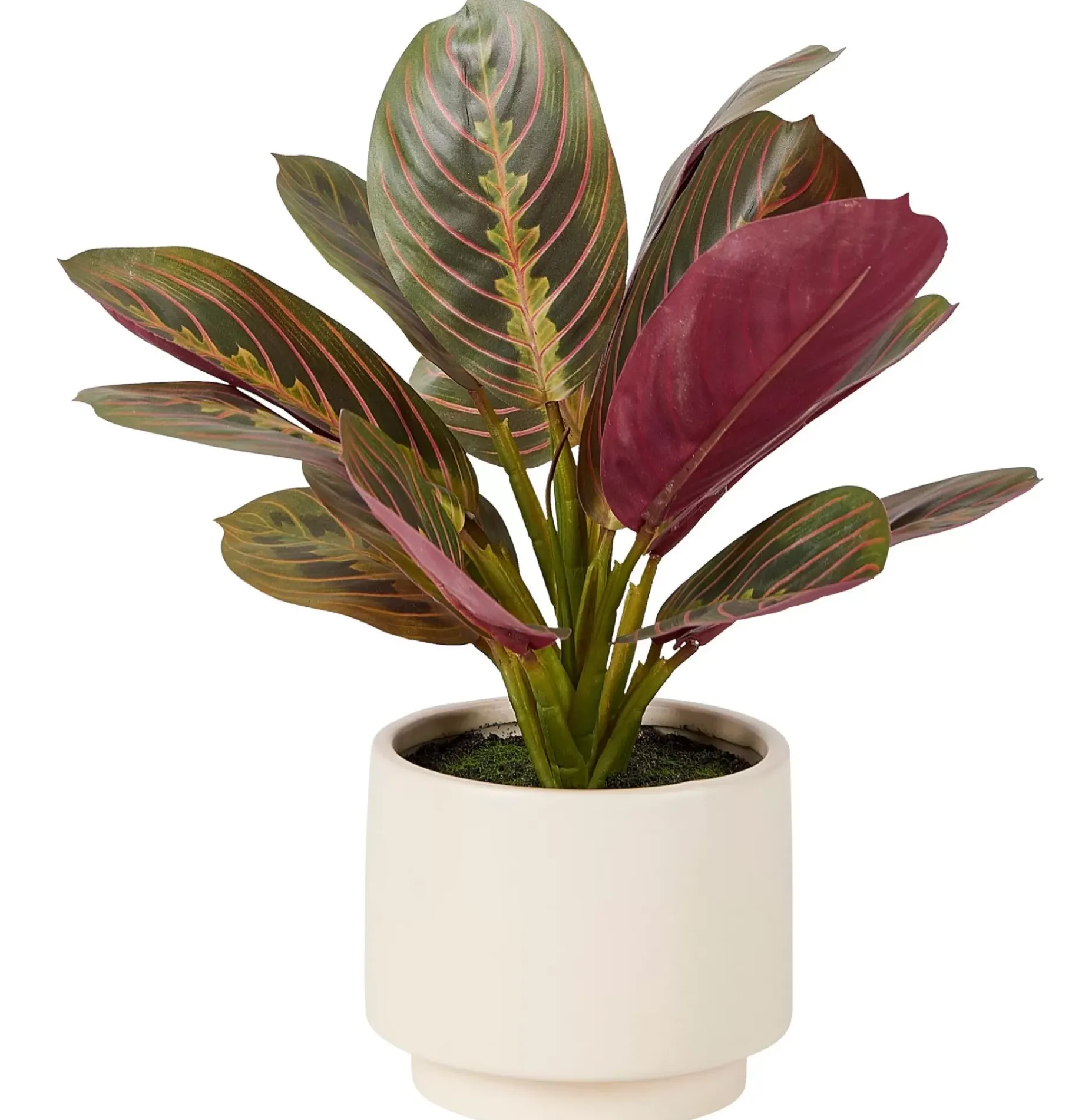 CASA Zebrina Planta Artificial